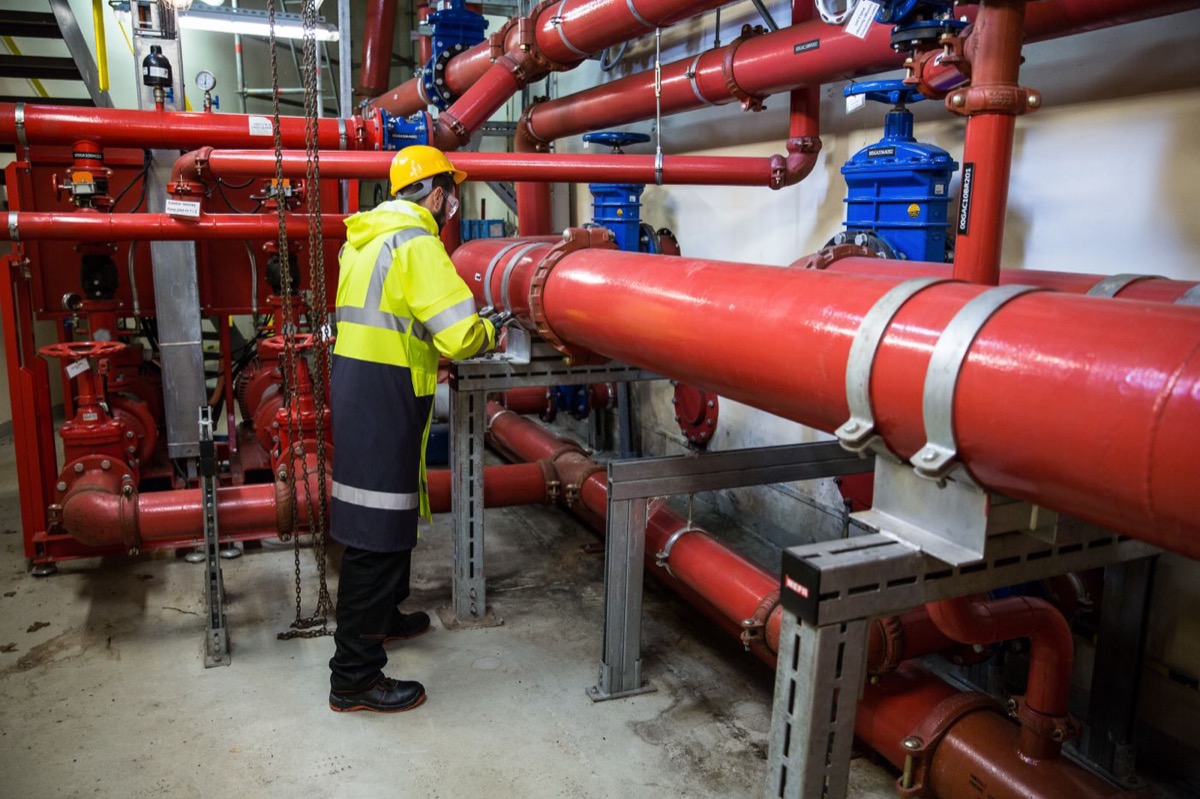 Plumber inspecting pipes and valves in a building mechanical room